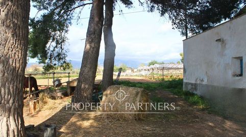 Foto 2 de Casa o chalet en venta en Son Nebot, Es Garrovers, Marratxí