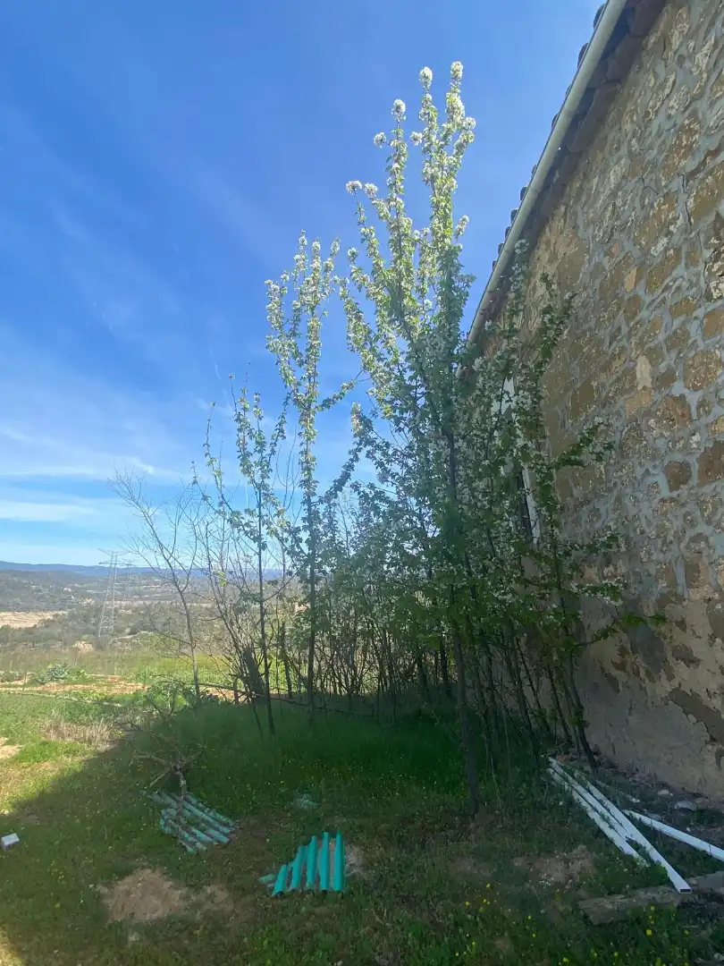 Terreny en venda en Tiurana