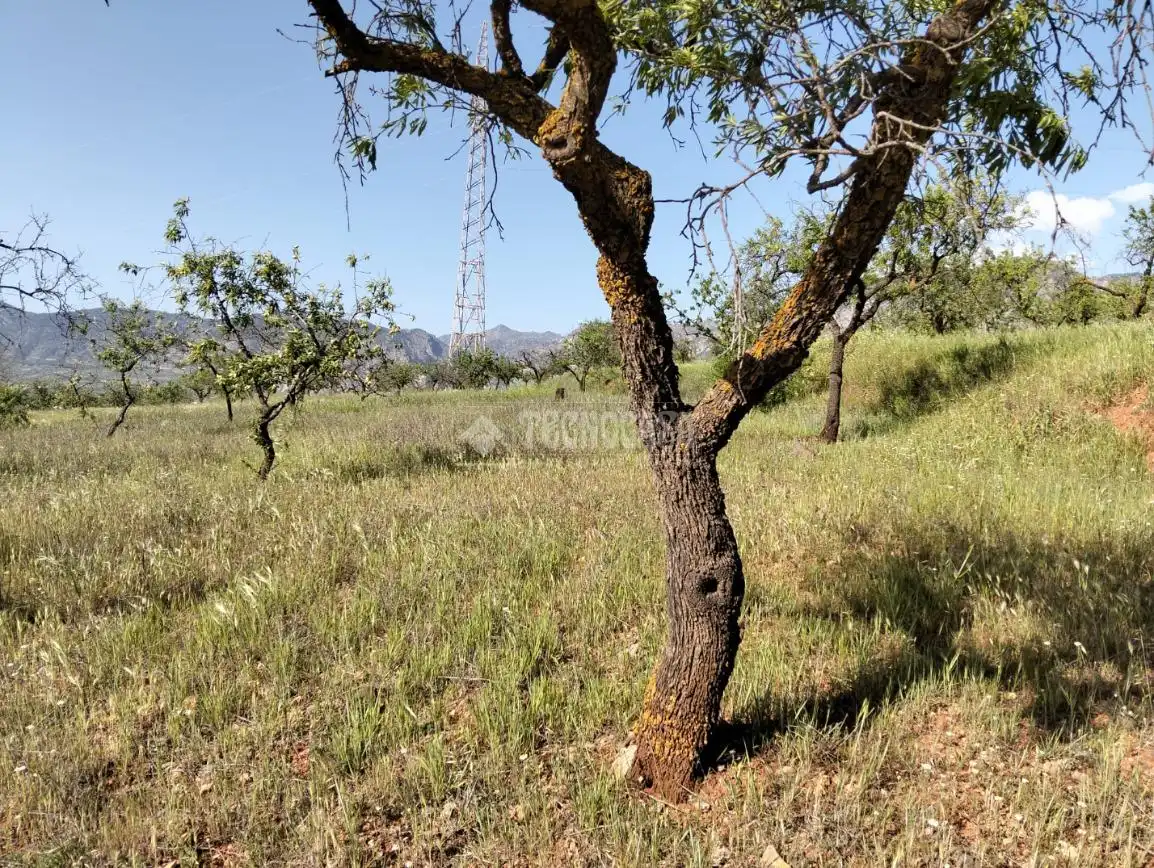Rural land for sale in Dúrcal, imagen 24