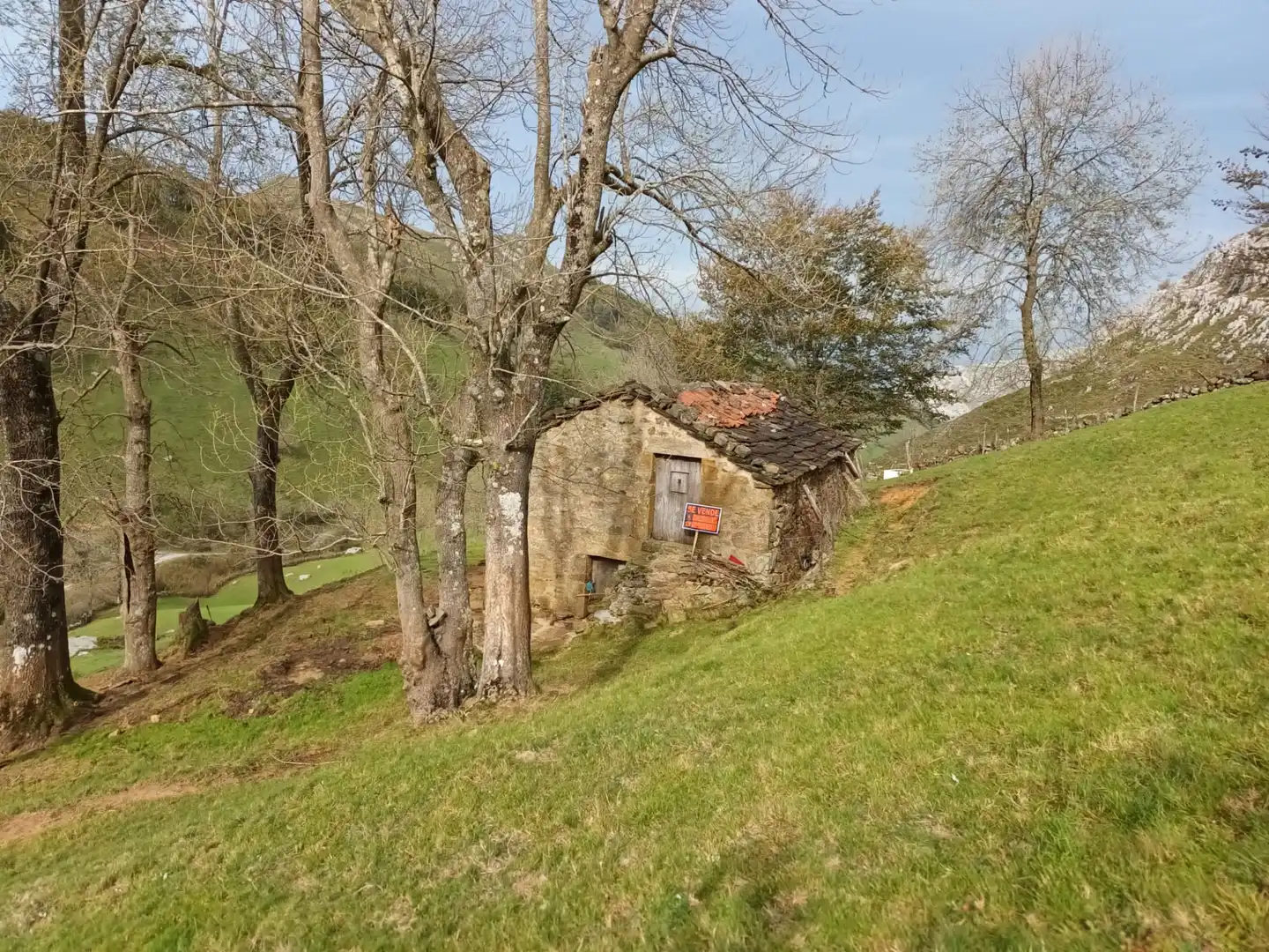 Vista exterior de Casa o chalet en venta en Soba con Jardín privado