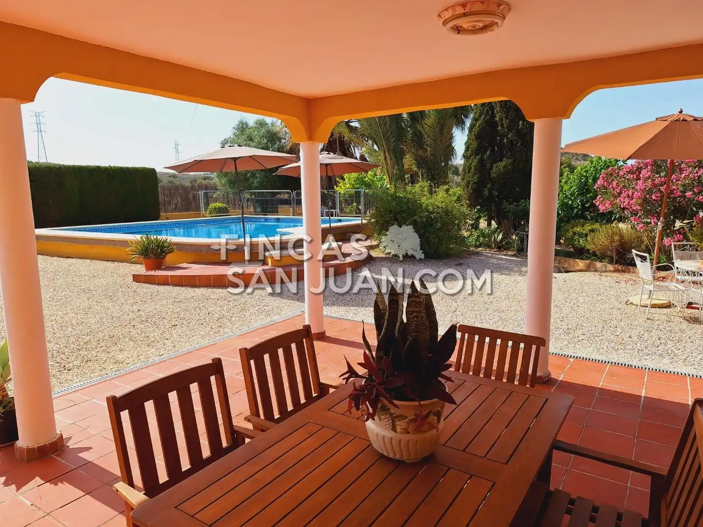 Terrassa de Casa o xalet en venda en Alicante / Alacant amb Terrassa i Piscina