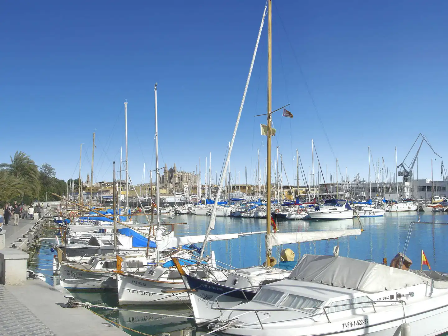 Vista exterior de Pis en venda en  Palma de Mallorca amb Aire condicionat, Calefacció i Terrassa