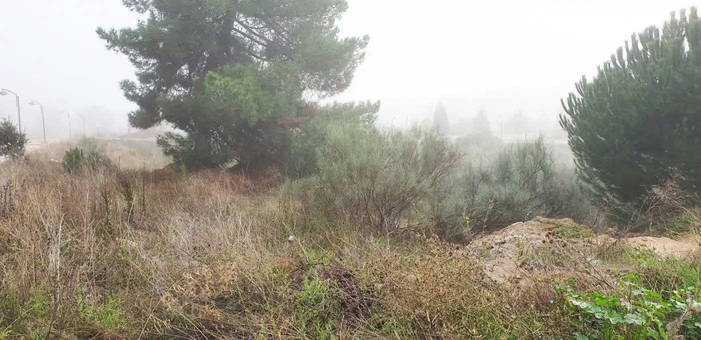 Terreno residencial en venta en Boecillo, imagen 10
