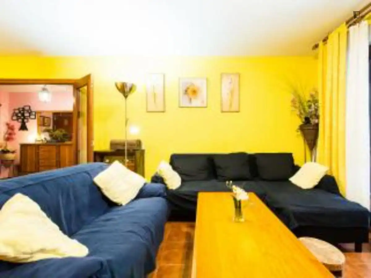 Living room of Apartments for rent in Madrid  with Air Conditioner, Heating and Furnished