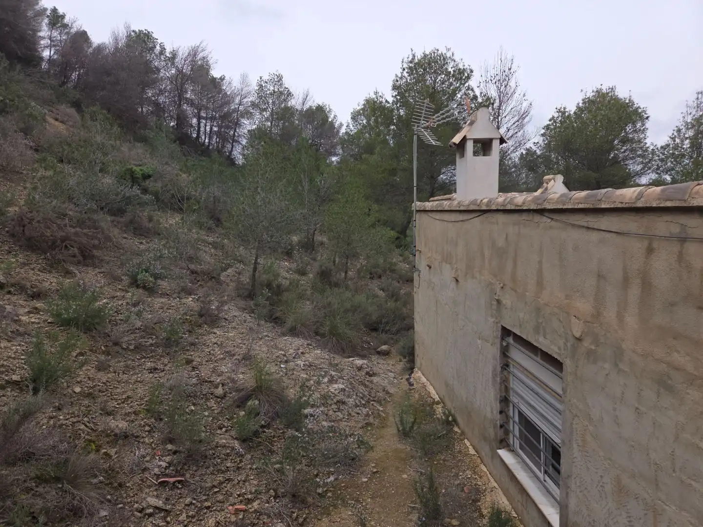 Maison rustique avec piscine à vendre à Avenida Luis de los Reyes 0, imagen 12