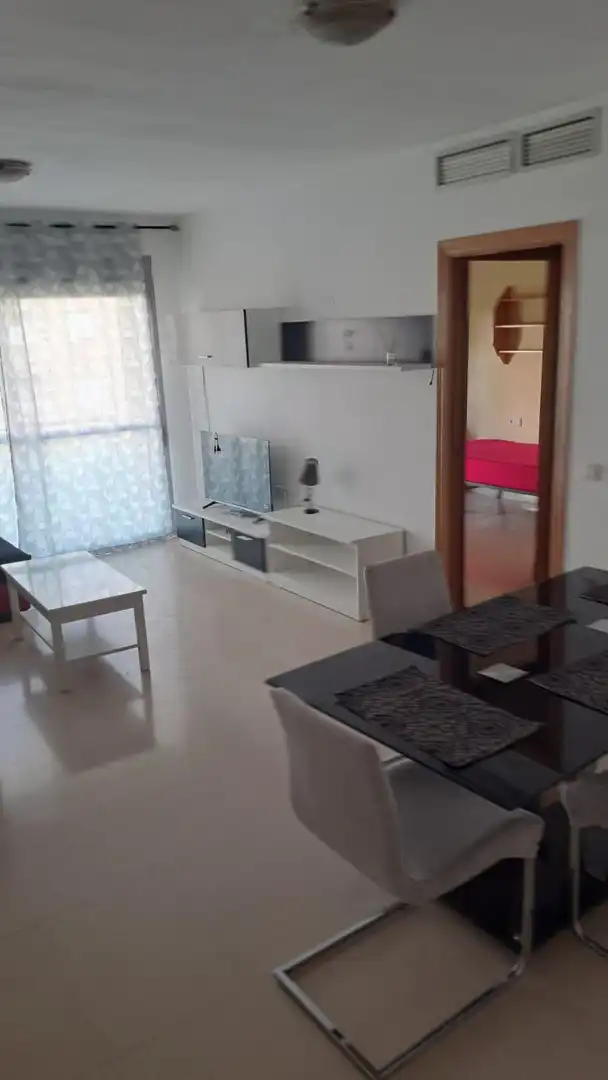 Appartement avec terrasse à vendre à El Ejido Ciudad, imagen 9