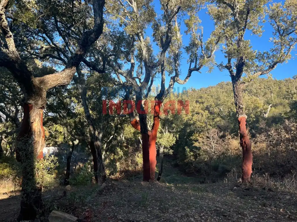 Country house for sale in Plaza De España, imagen 5