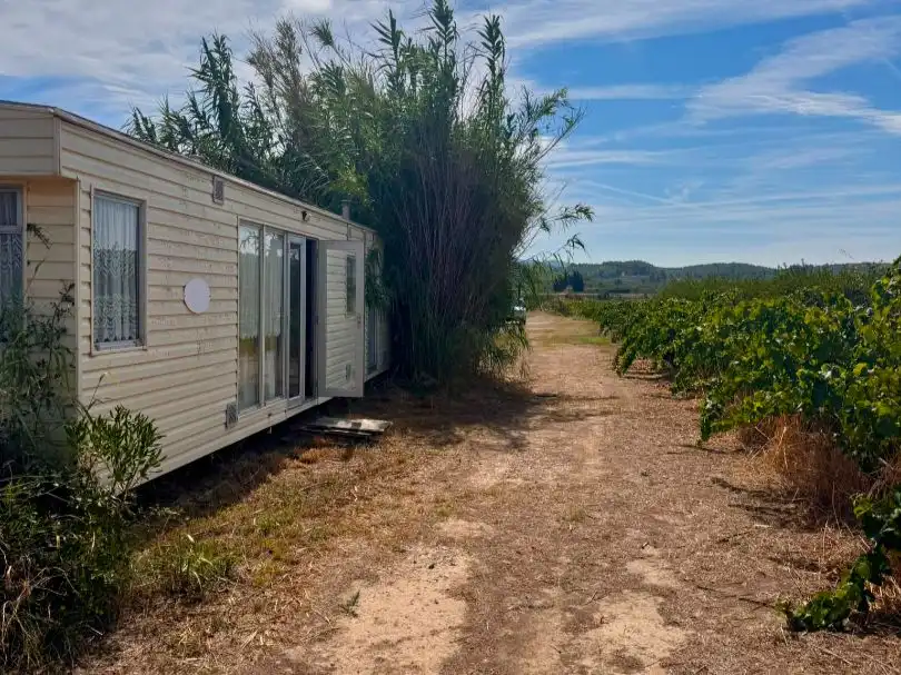 Casa o xalet en venda en Ginestar, Tarragona