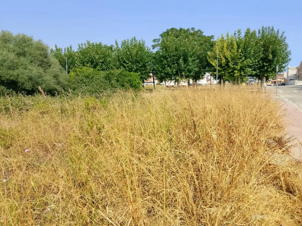 Residential land for sale in Calle Botánico Cabanilles, imagen 10