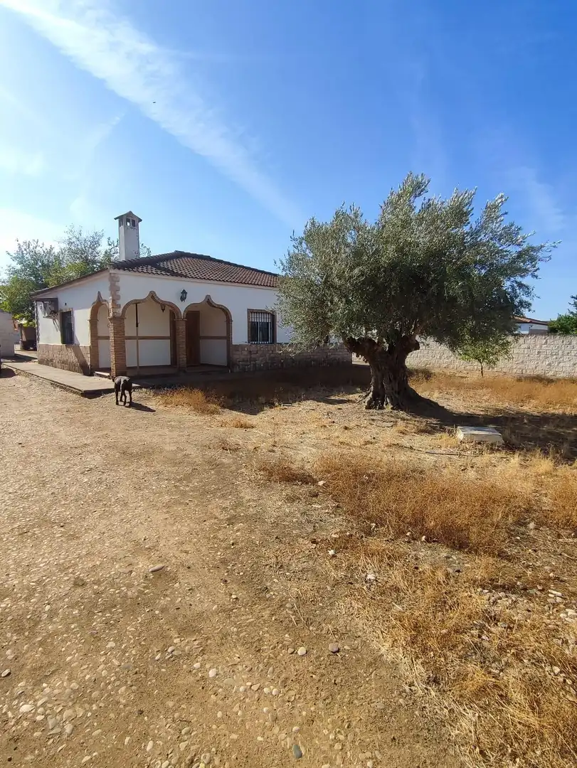 Chalet con piscina en venta en La Carlota, imagen 2