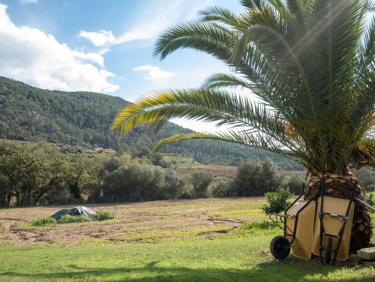 Casa rustica con giardino in vendita a Carretera COMARCAL BV-2111, imagen 41