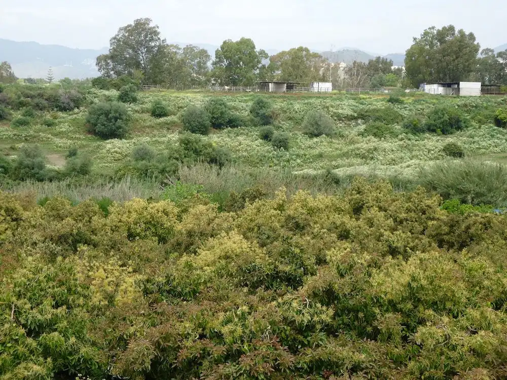 Industrial land for sale in Marbella