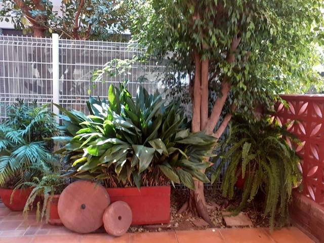 Casa-chalet en Alquiler en Avenida Mediterrania, 86 en Playa