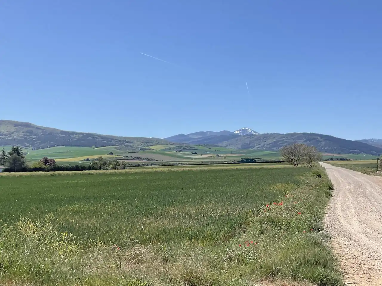 Terreny rústic en venda a Santo Domingo de la Calzada, imagen 5