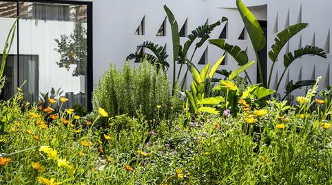 Foto 2 de Casa o chalet en venta en Santa María del Camí, Illes Balears