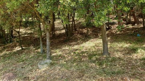 GRAN TERRENO DE 3.000 M2!, immagine 4