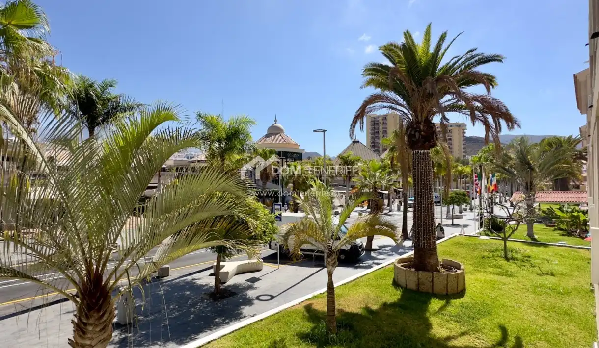Pis amb terrassa en venda a Playa de las Américas, imagen 21