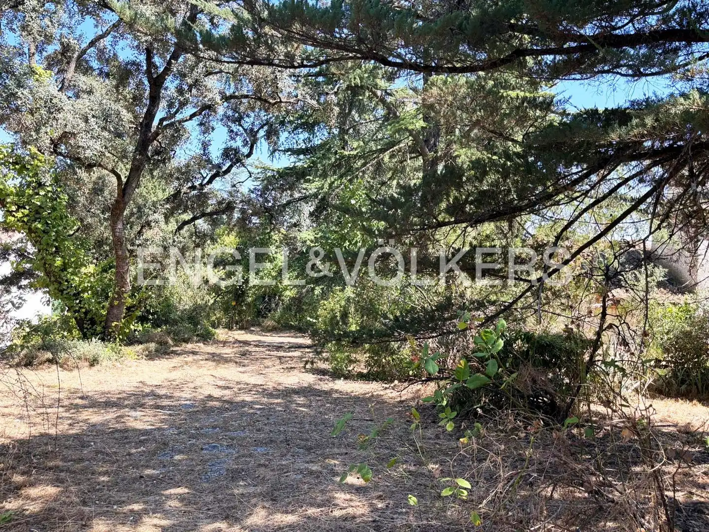 Terreno residencial en venta en Las Matas  - Peñascales, imagen 5