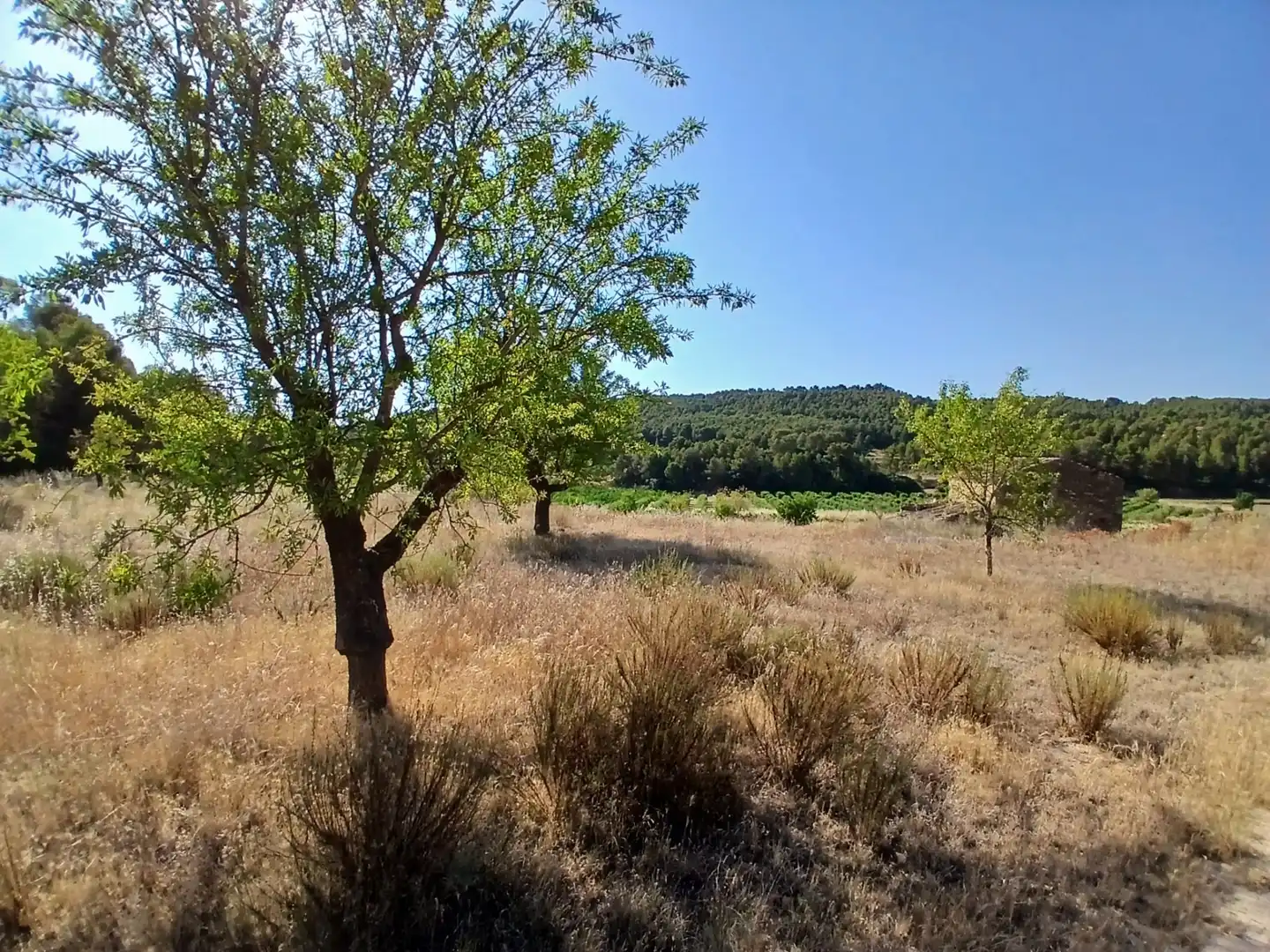 Terrain rustique à vendre à Mazaleón, imagen 16