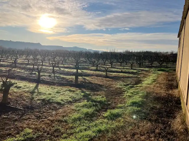 Terreni e lotti in vendita a Fraga, imagen 7