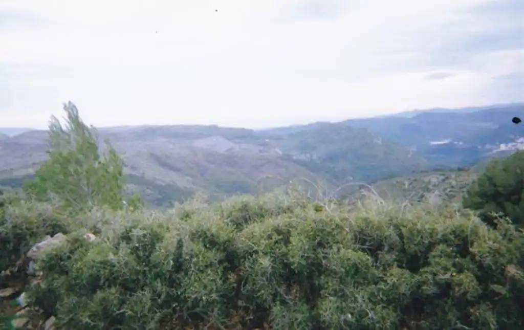 Casa o chalet en venta en N/A, -1, Llucena / Lucena del Cid