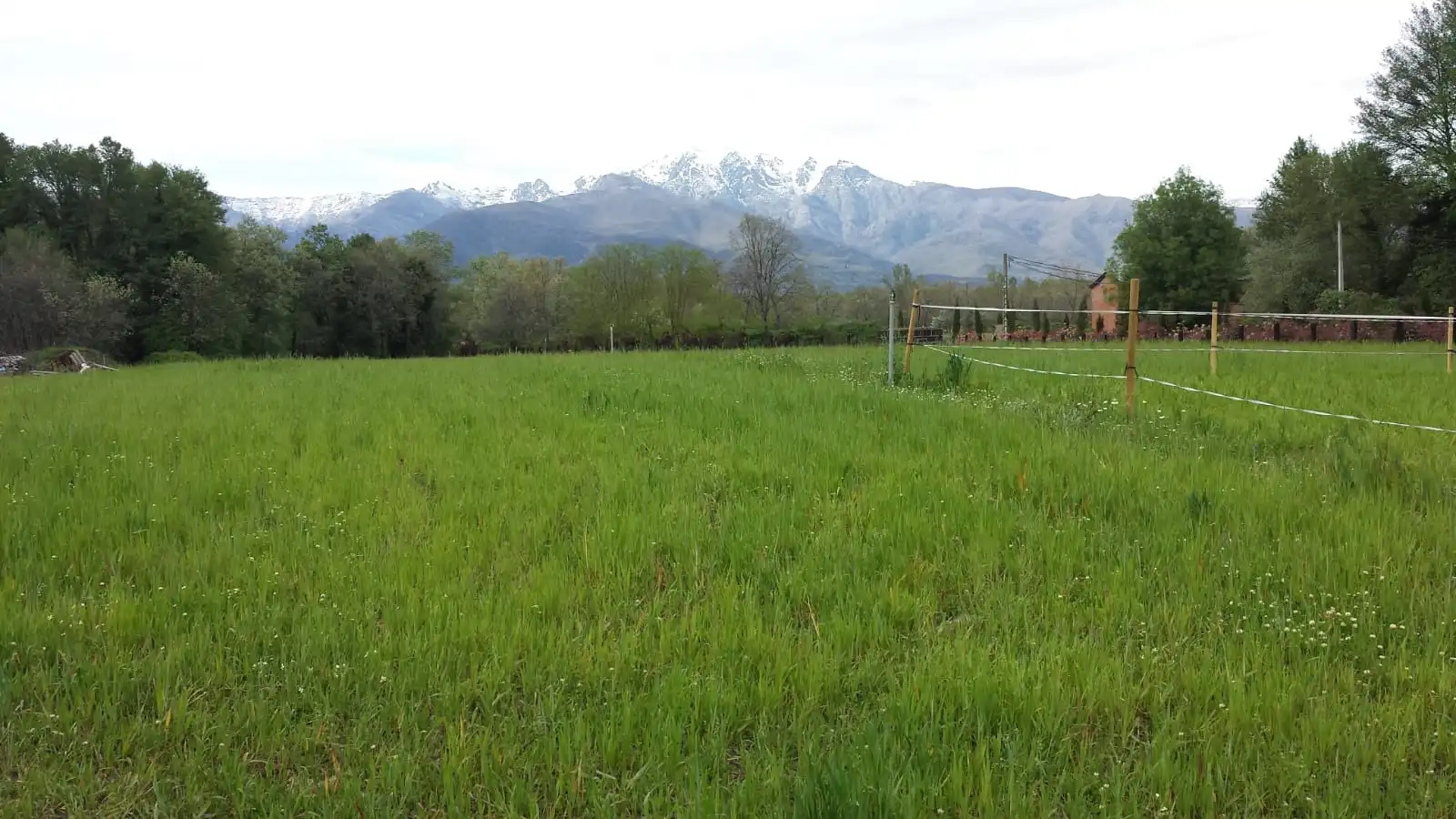 Terreni e lotti in vendita a Paraje Dehesa el Gamo 2, imagen 10