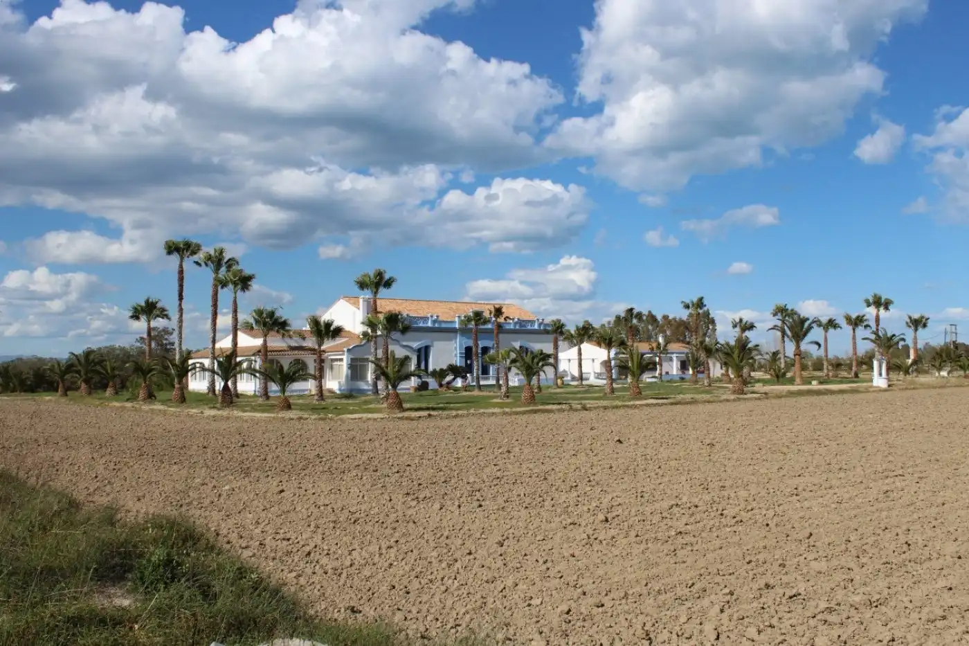 Villa avec terrasse à vendre à Deltebre, imagen 6