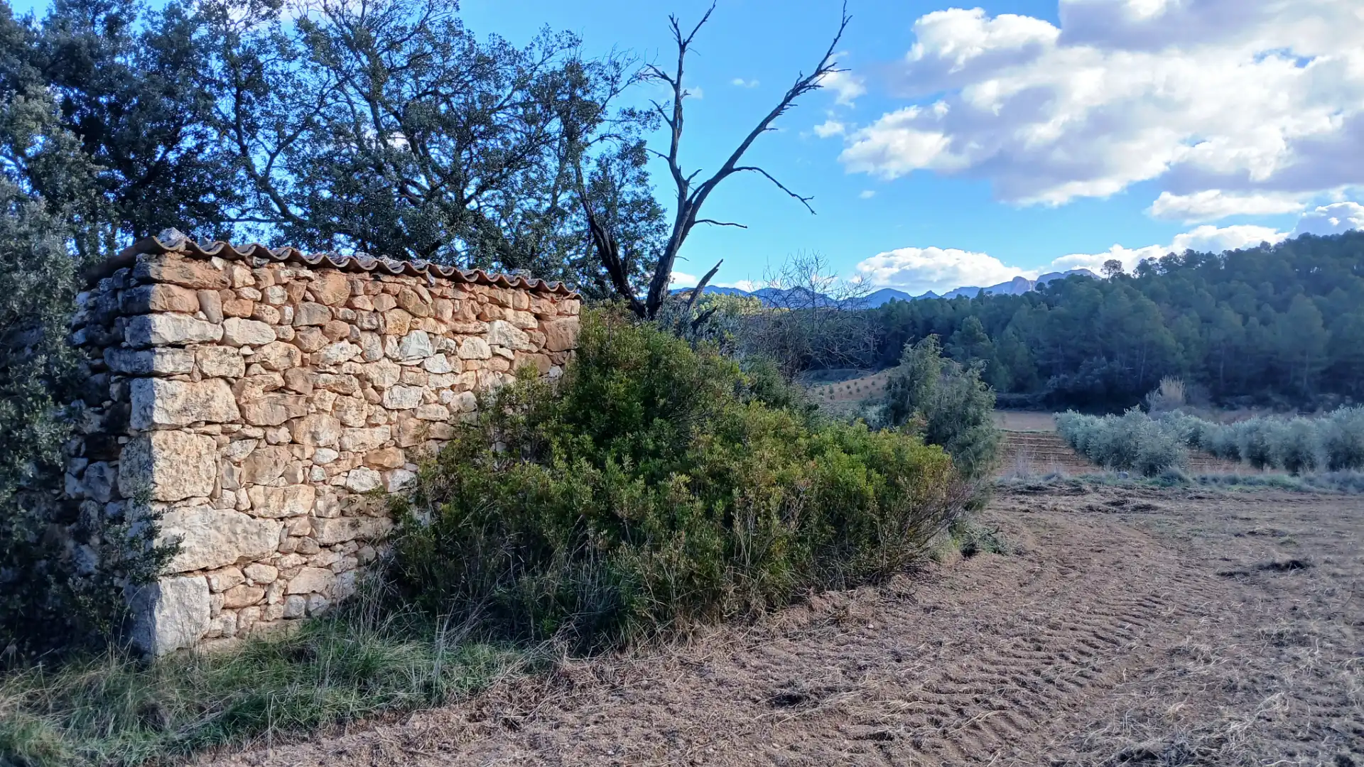 Terreni e lotti in vendita a Lledó, imagen 7