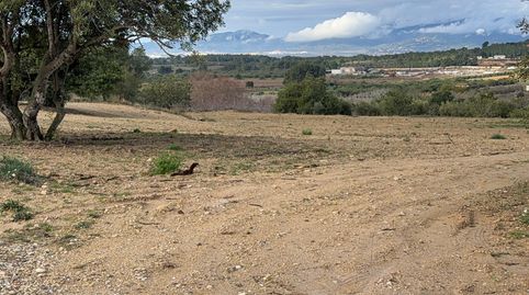 Finca en Vallmoll, imatge 5