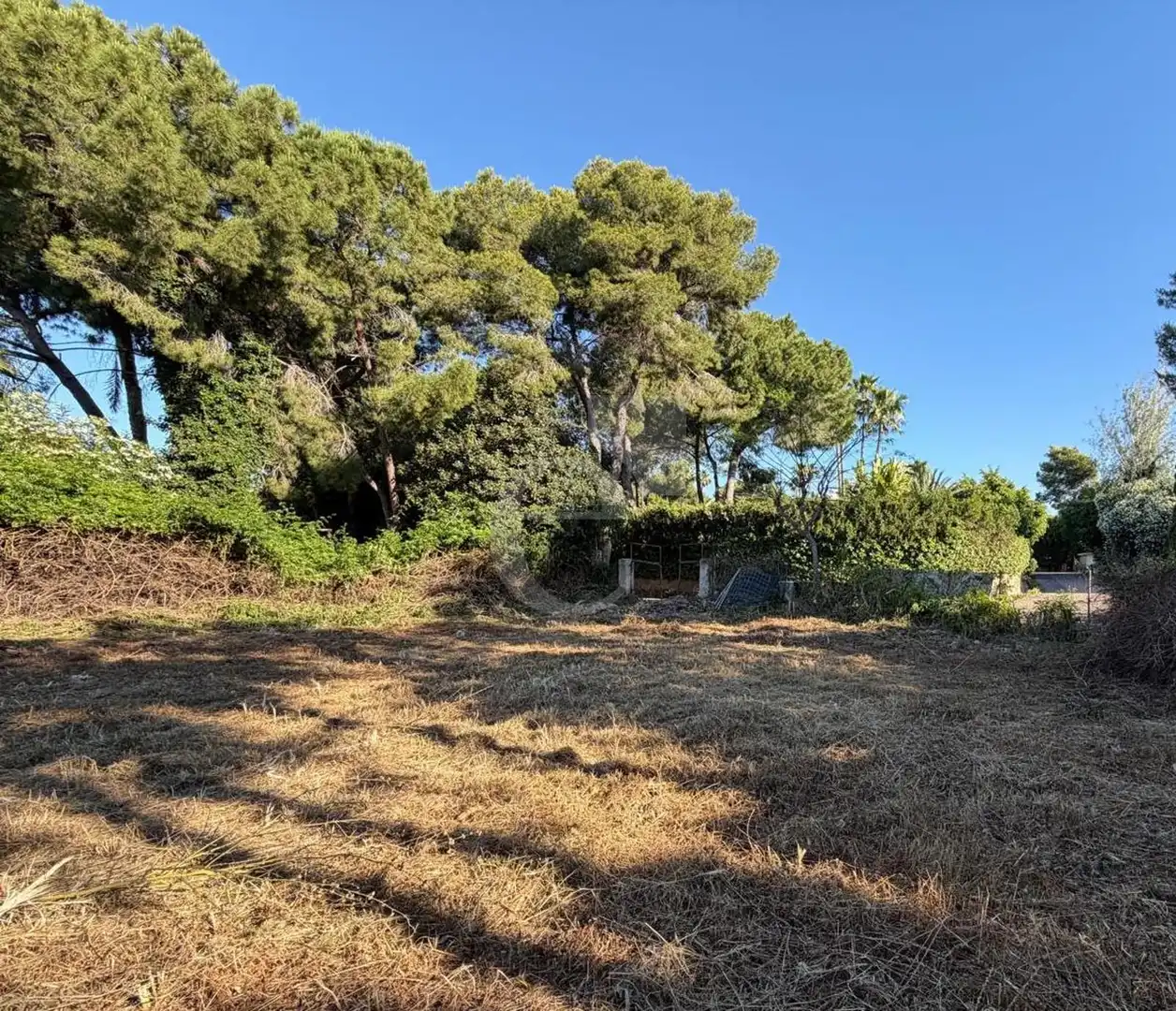 Residential land for sale in Santa Bárbara, imagen 5