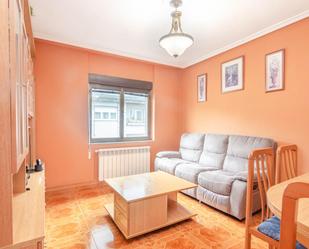 Sala d'estar de Pis en venda en Laviana amb Terrassa
