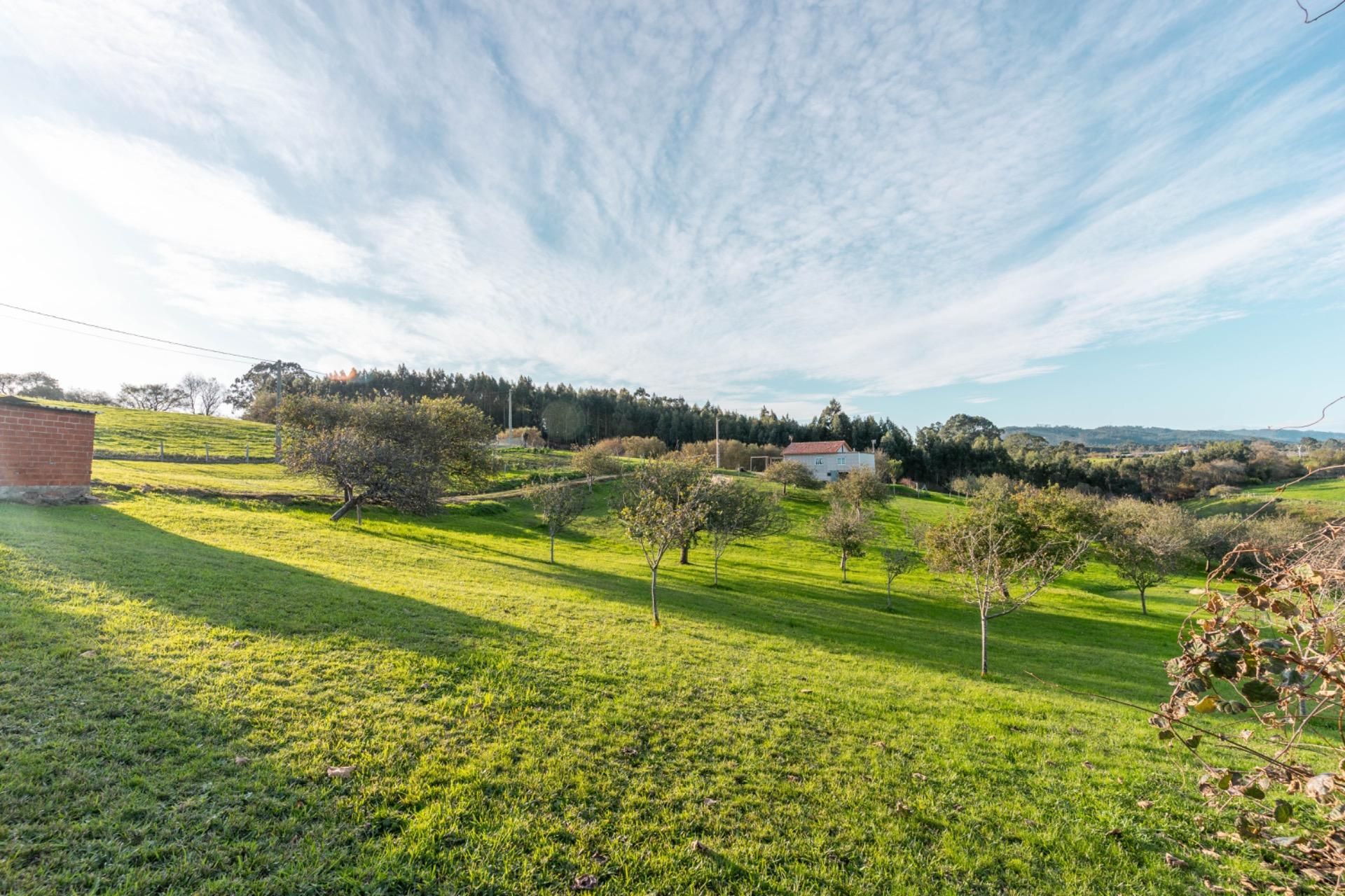 House or chalet for sale in Villaviciosa  with Private garden and Terrace