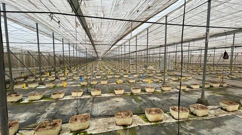 Photo 2 of Land for sale in Motril, Playa de Granada, Motril