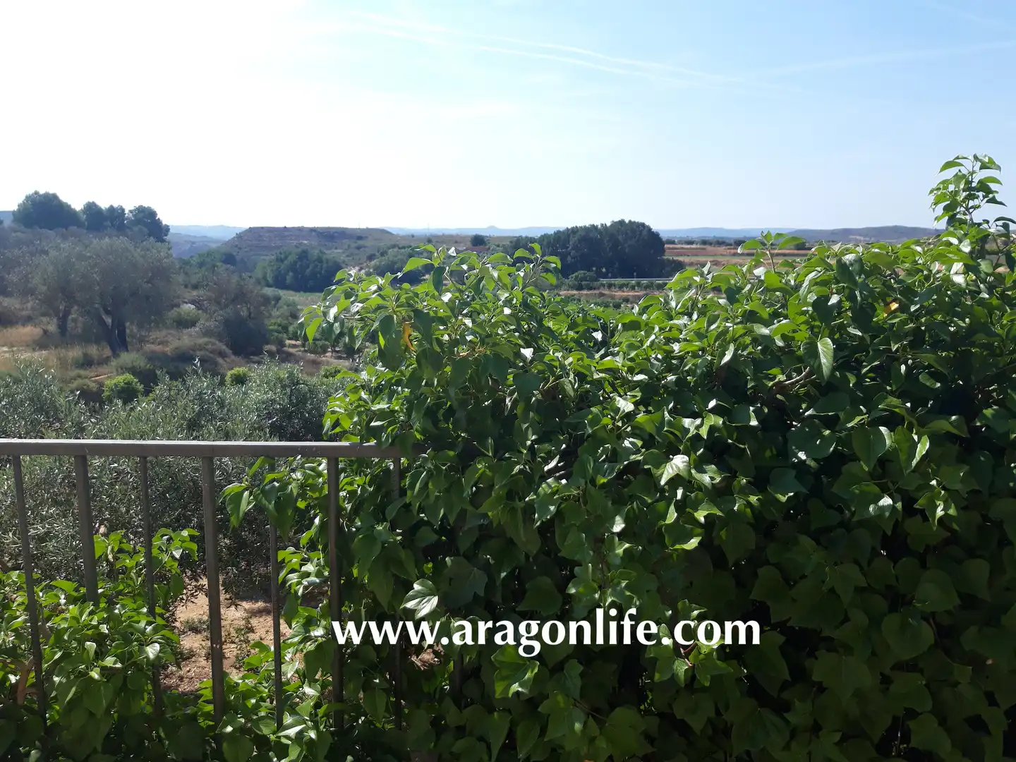Jardín de Finca rústica en venta en Caspe con Amueblado
