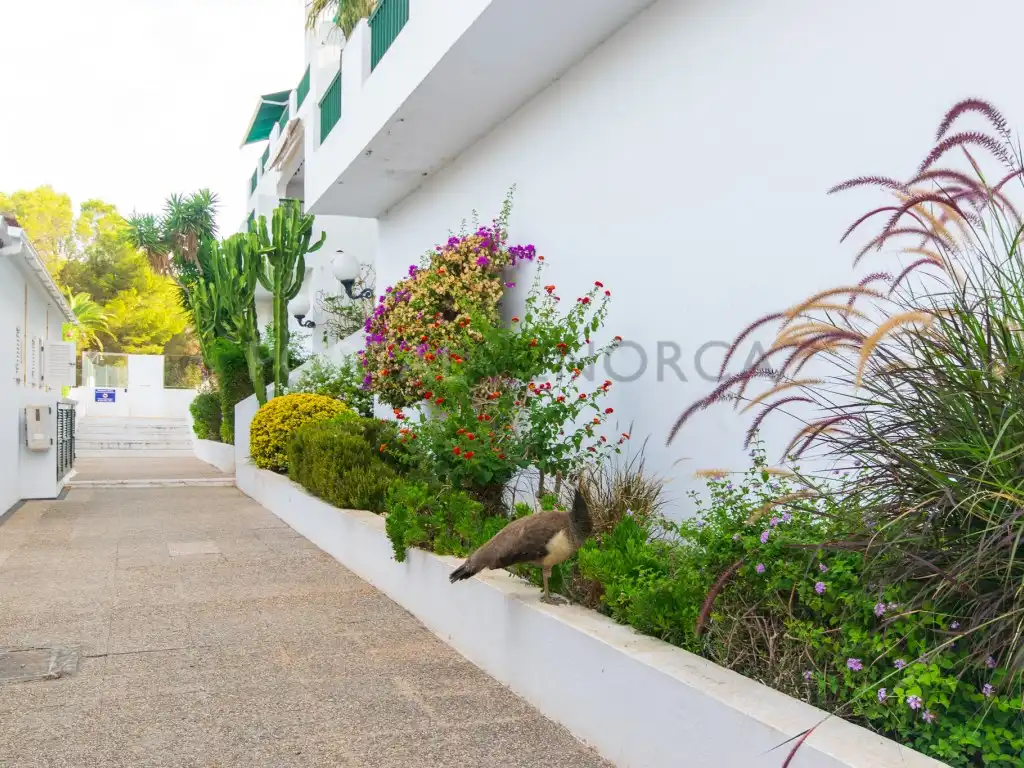 Vista exterior de Apartament en venda en Es Mercadal amb Aire condicionat, Terrassa i Piscina