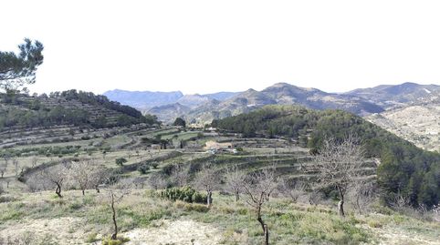 Propiedad singular en Sella casa tradicional, grandes vistas y más de 175.000 m