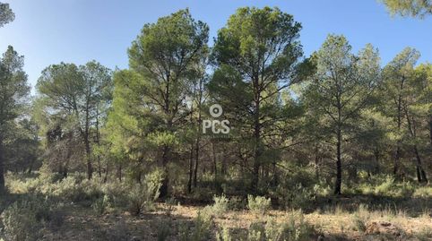Terreno en venta en Totana, immagine 4
