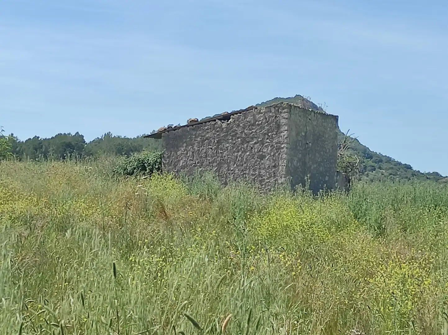 Residential zum Verkauf in Sineu