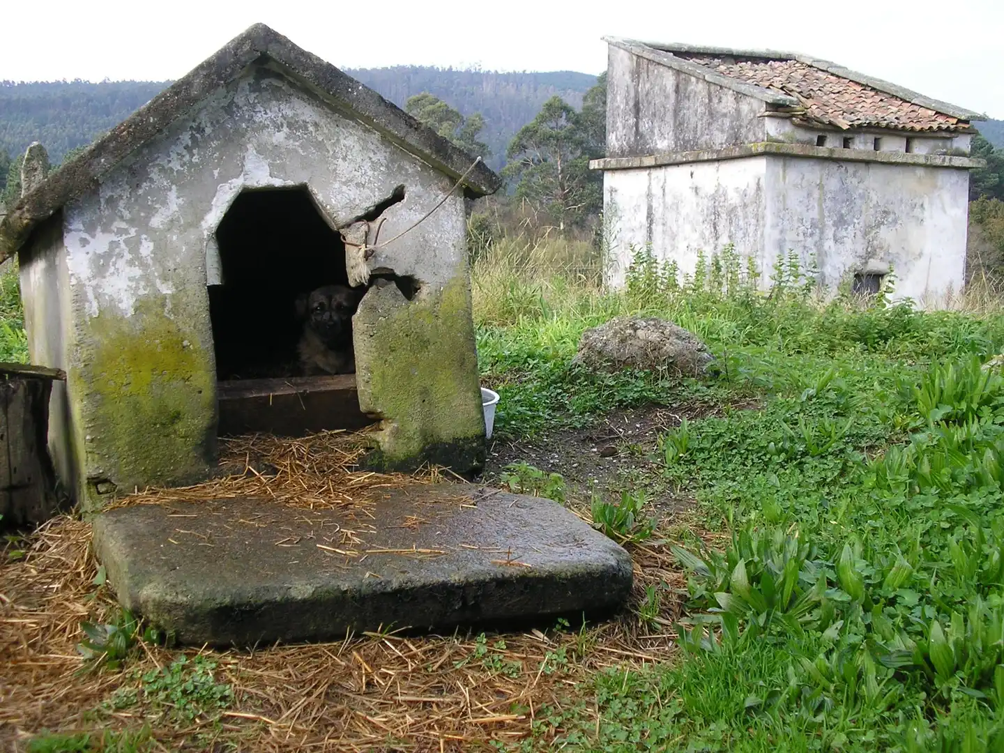 Vista exterior de Casa o xalet en venda en Boiro