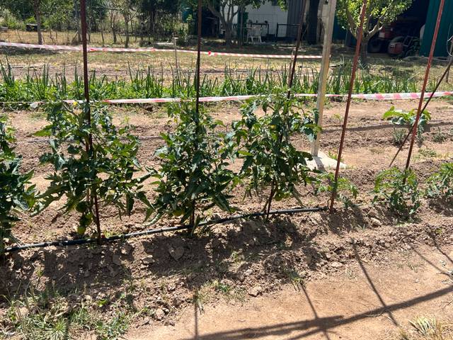 Terreno en Venta en Camino de Monzalbarba, 9193 en Monzalbarba