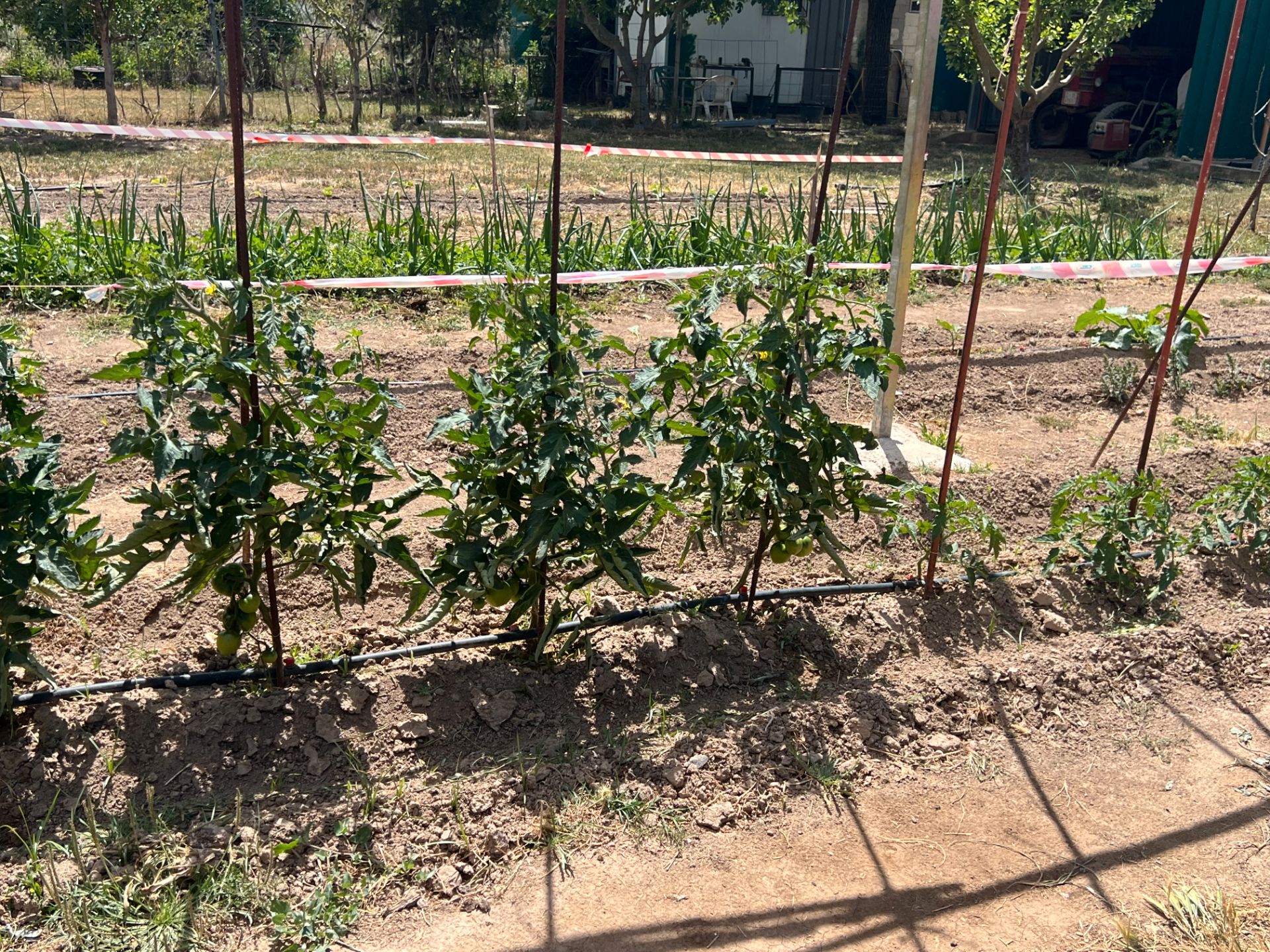 Jardín de Terreno en venta en  Zaragoza Capital