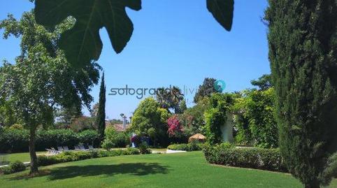 Foto 3 de Casa o xalet de lloguer a Sotogrande Costa, Sotogrande