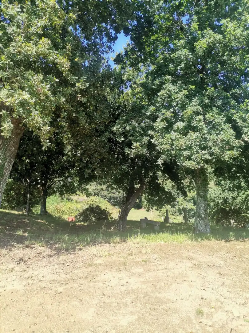 Terrenys i solars en venda a Mos, imagen 8