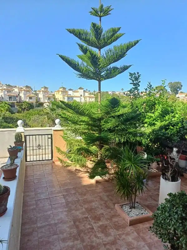 Pis amb piscina en venda a Orihuela Costa, imagen 14