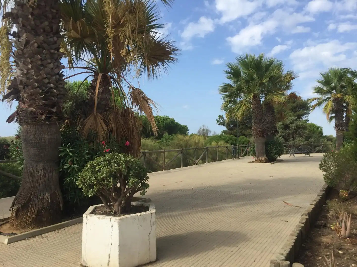 Casa a schiera in affitto a El Rompido, imagen 31