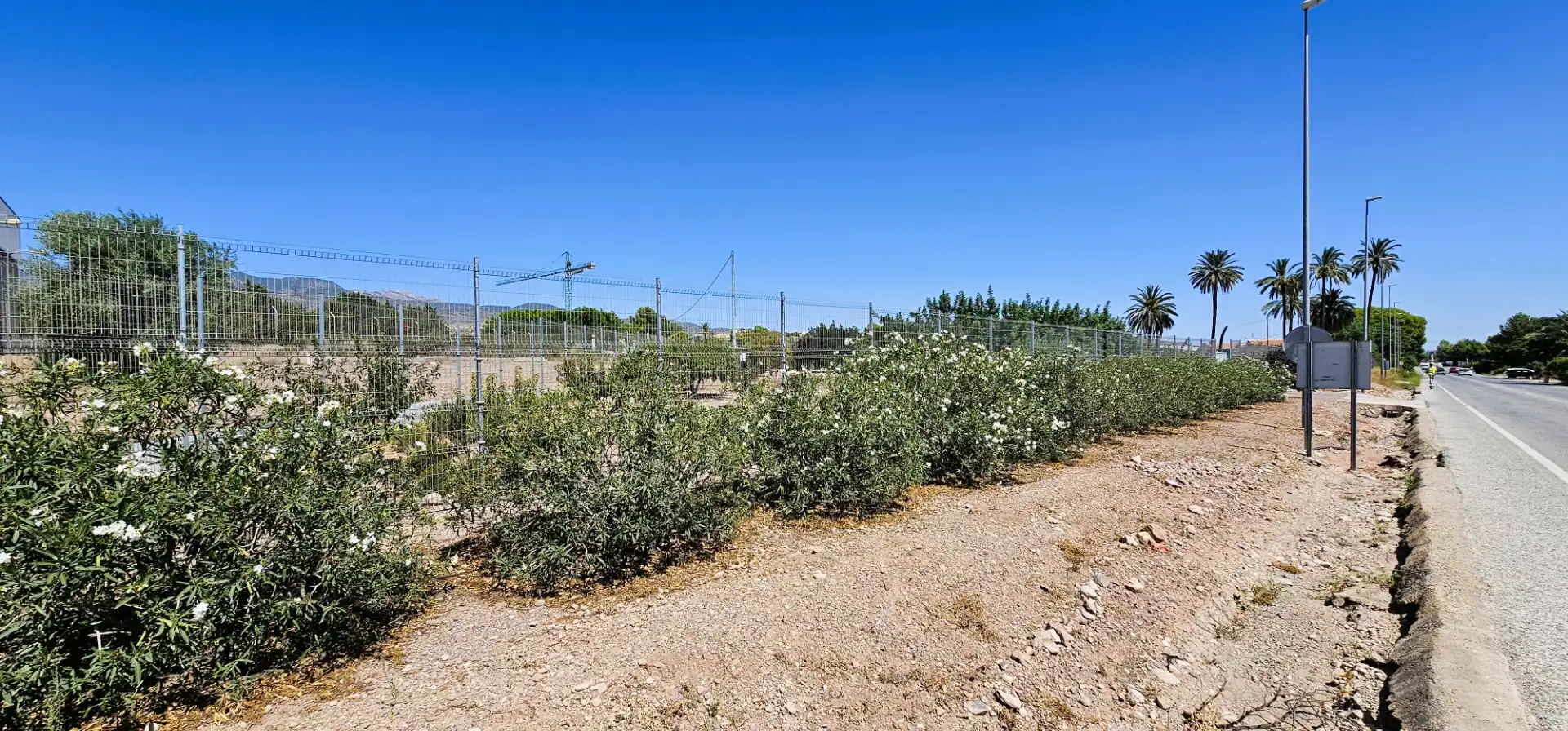 Nave industrial en venta en Totana