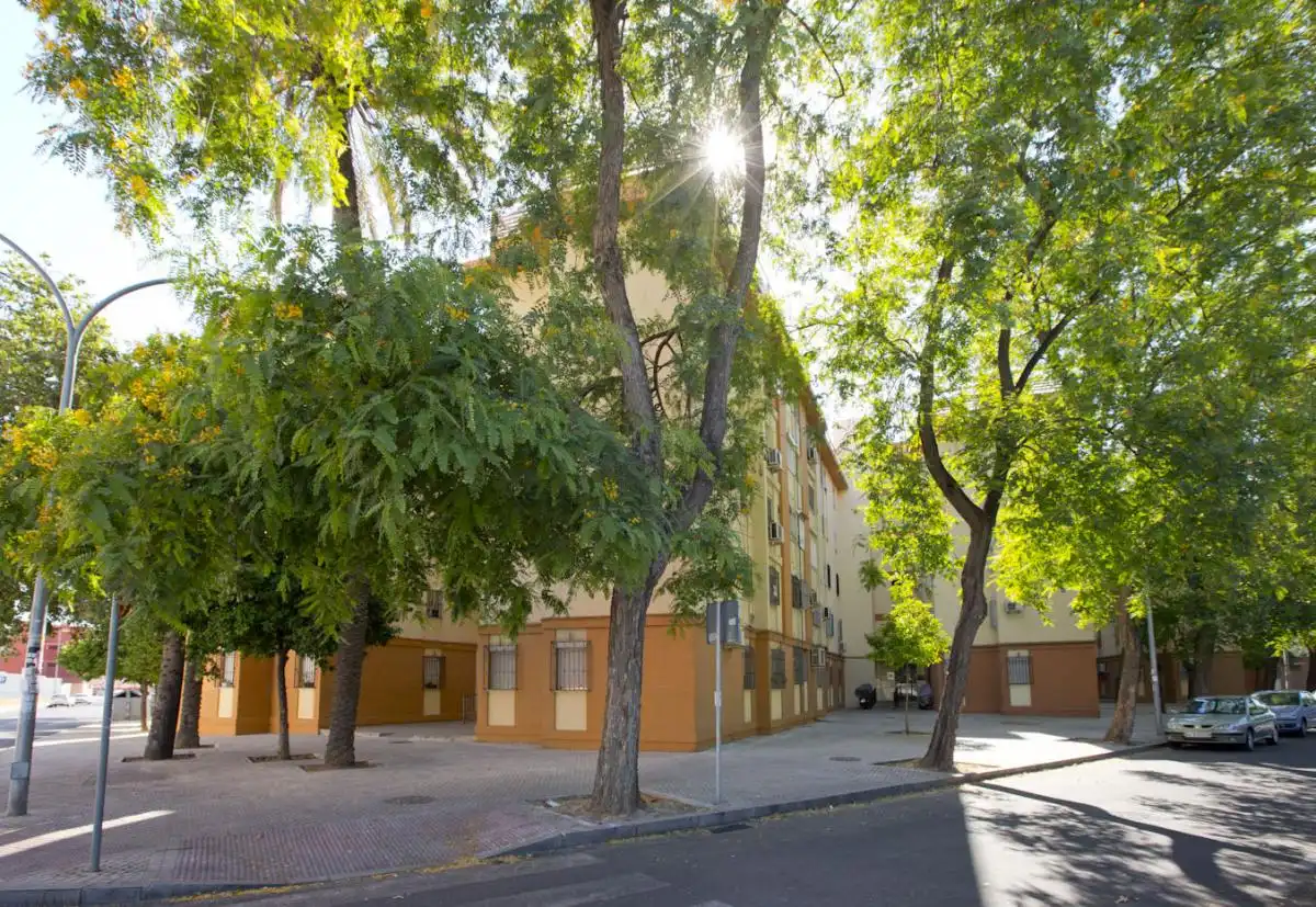 Apartament de lloguer a Tiro de Línea