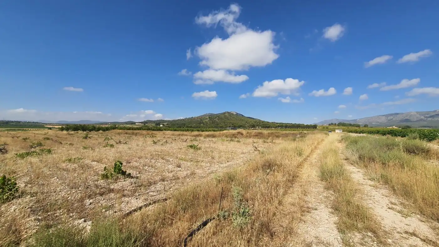 Terreno residenziale in vendita a casa plaza, imagen 17