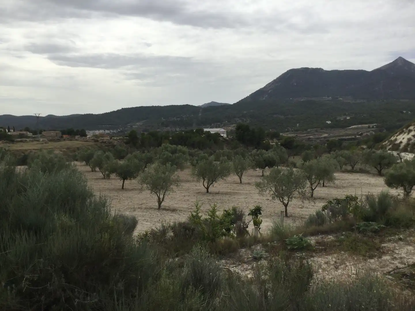 Terreny rústic en venda a Partida el Llosar 70, imagen 5