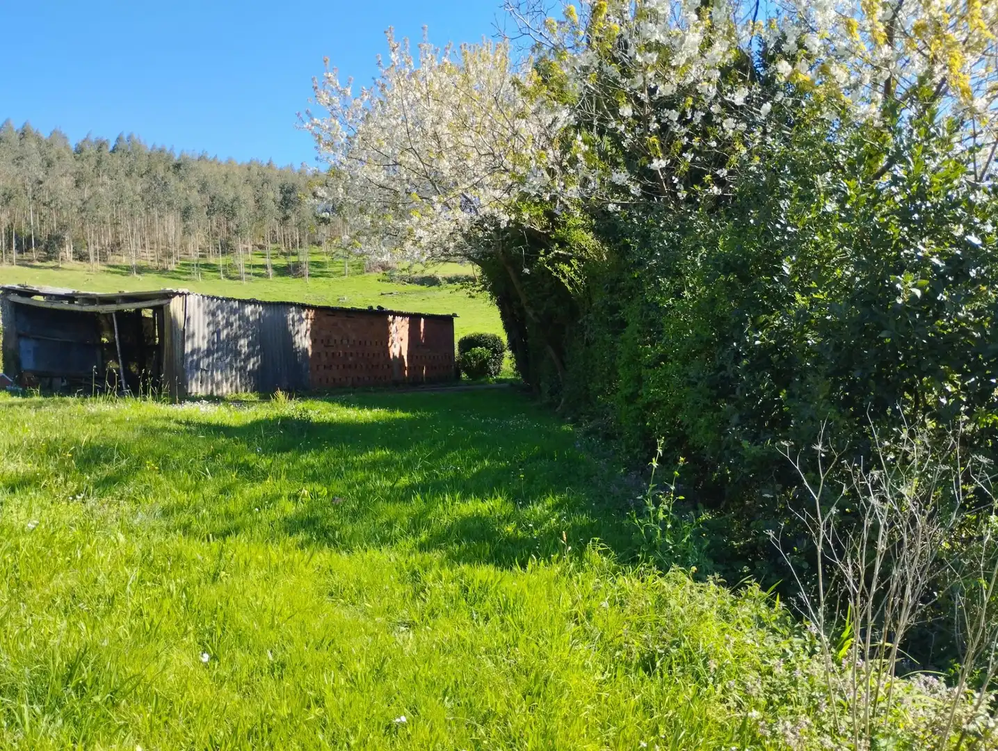 Casa o xalet en venda en As Somozas  amb Calefacció, Jardí privat i Moblat